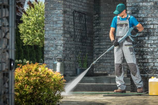 Best Soft Washing for Delicate Surfaces in Adel, GA