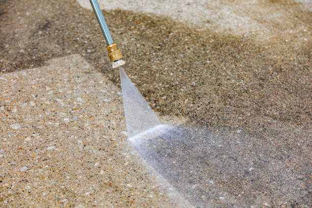 Best Roof Cleaning and Mildew Removal in Adel, GA